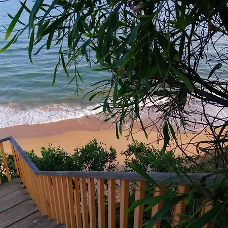 Dreamly Sea البوفيرا